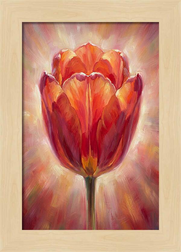 Red Tulip