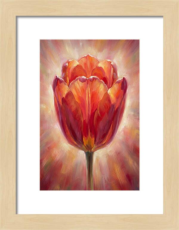 Red Tulip