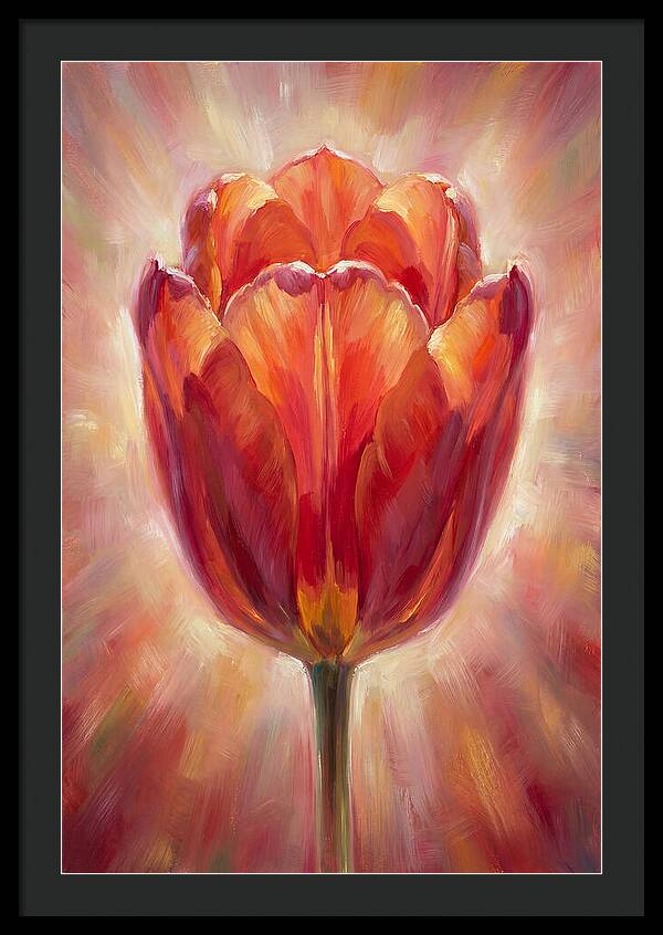 Red Tulip