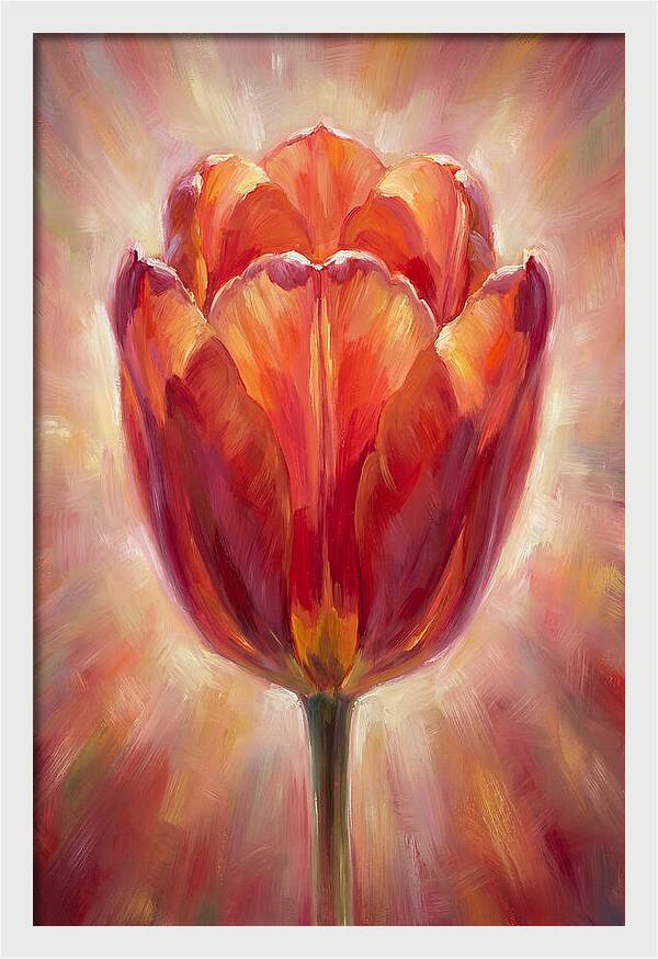 Red Tulip