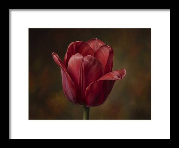 Red Tulip Elegance