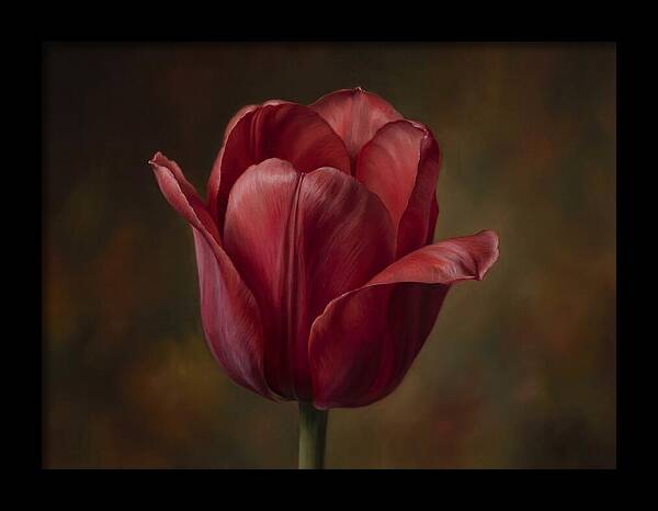 Red Tulip Elegance