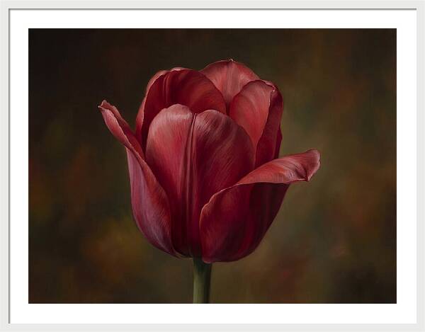 Red Tulip Elegance
