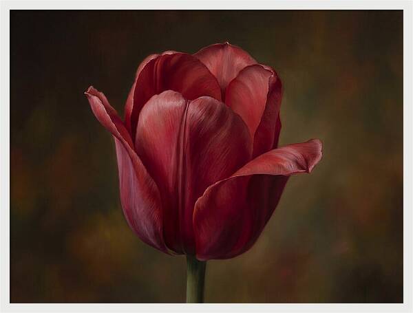 Red Tulip Elegance