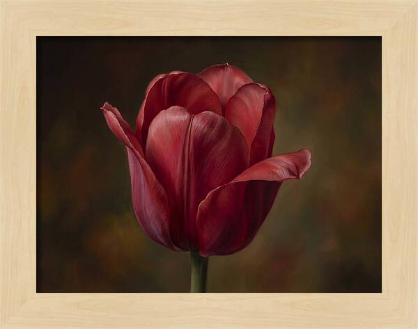 Red Tulip Elegance