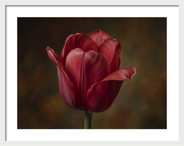 Red Tulip Elegance