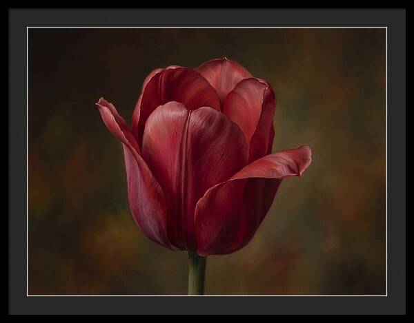 Red Tulip Elegance