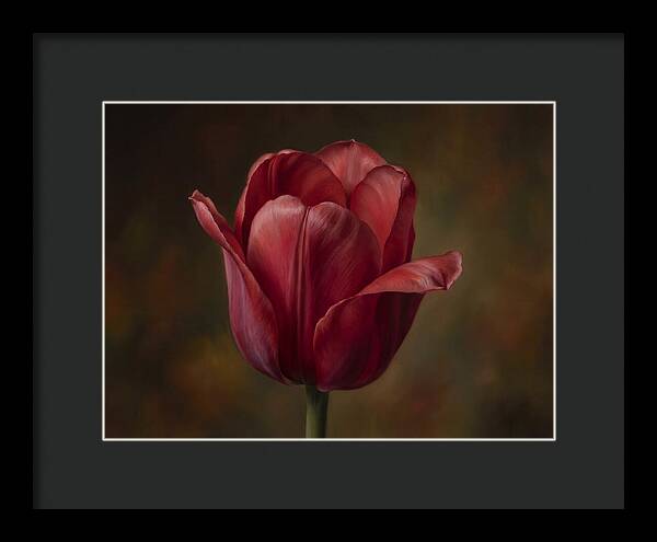 Red Tulip Elegance