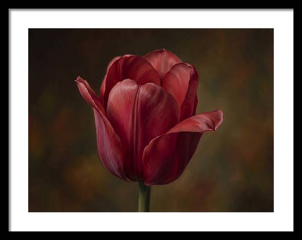 Red Tulip Elegance