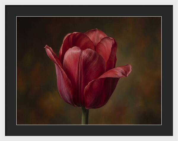 Red Tulip Elegance