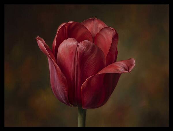 Red Tulip Elegance