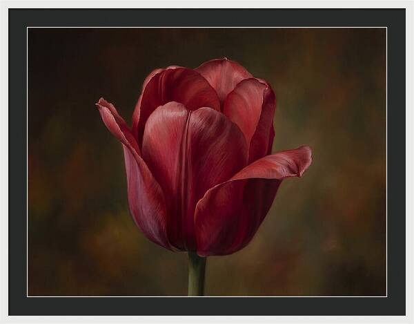 Red Tulip Elegance