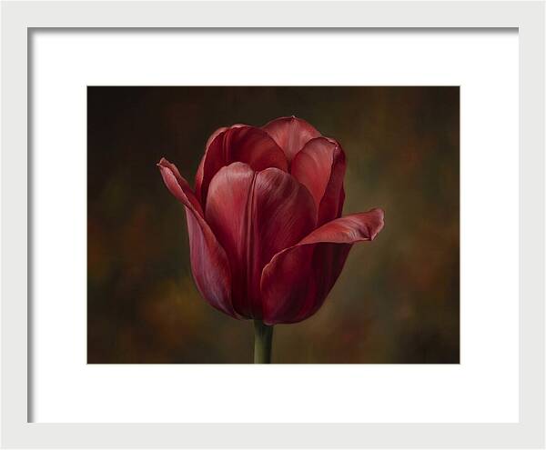 Red Tulip Elegance