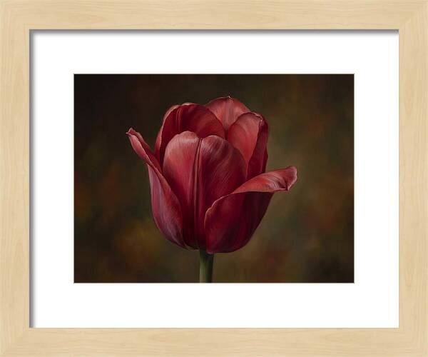 Red Tulip Elegance