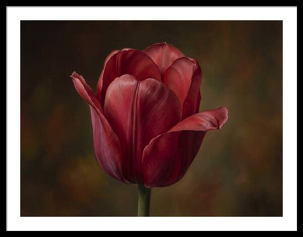 Red Tulip Elegance
