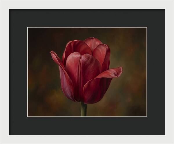 Red Tulip Elegance
