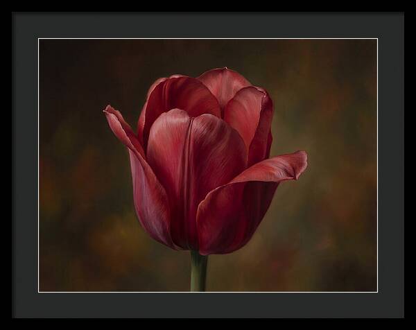 Red Tulip Elegance