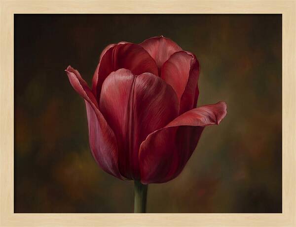 Red Tulip Elegance