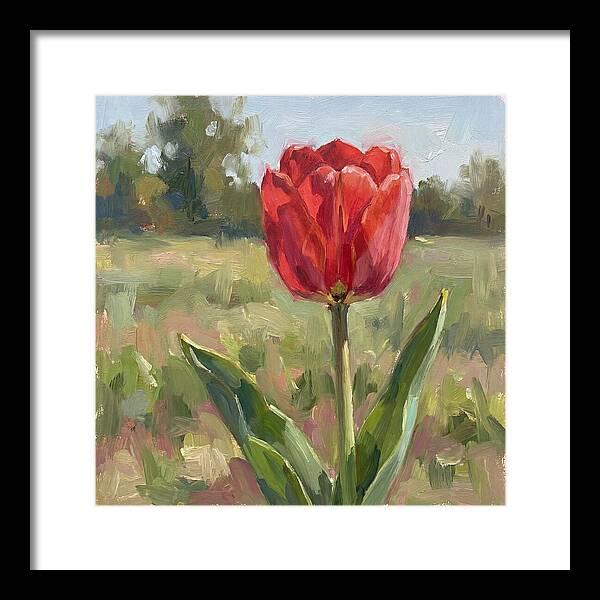 Red Tulip In Bloom