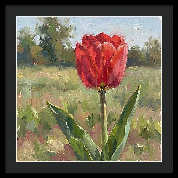 Red Tulip In Bloom