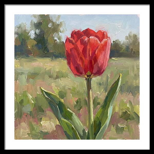 Red Tulip In Bloom