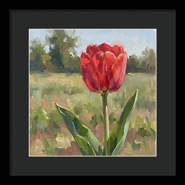 Red Tulip In Bloom