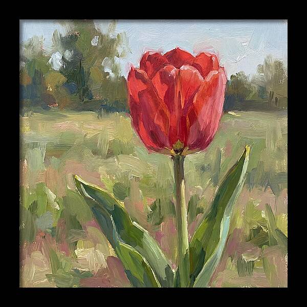 Red Tulip In Bloom