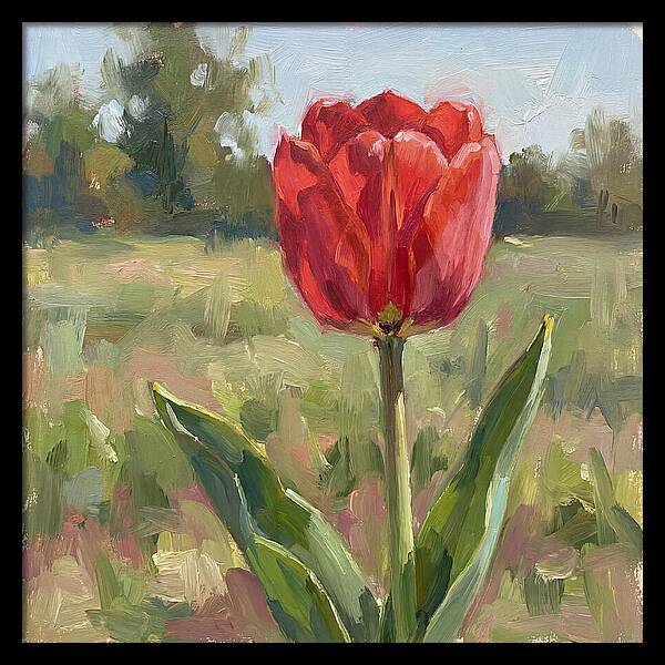 Red Tulip In Bloom
