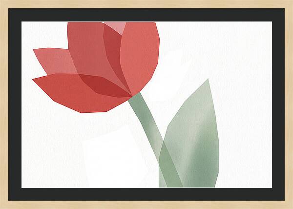 Red Tulip Minimalism