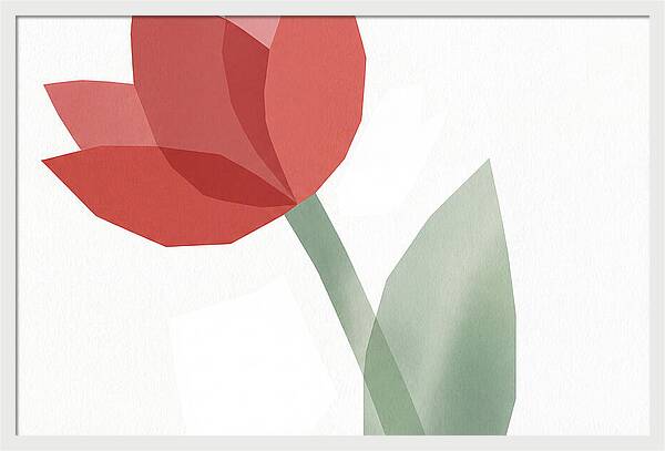 Red Tulip Minimalism