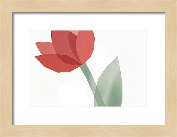 Red Tulip Minimalism
