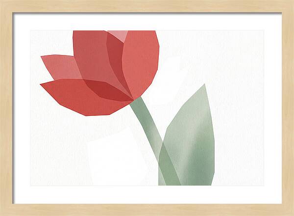 Red Tulip Minimalism