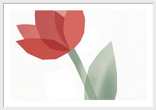 Red Tulip Minimalism
