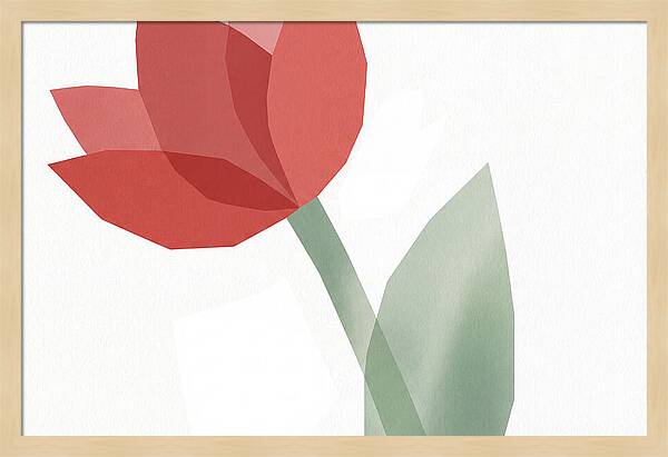Red Tulip Minimalism