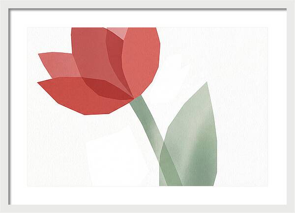 Red Tulip Minimalism