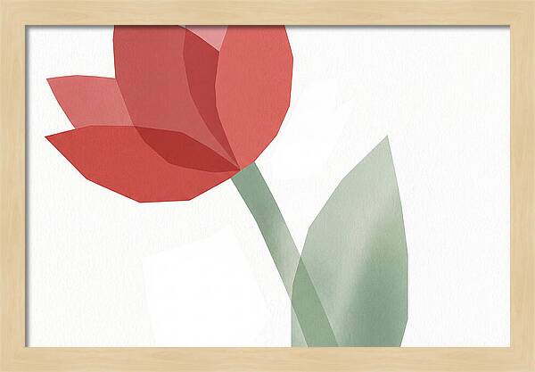 Red Tulip Minimalism