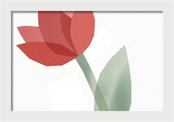 Red Tulip Minimalism
