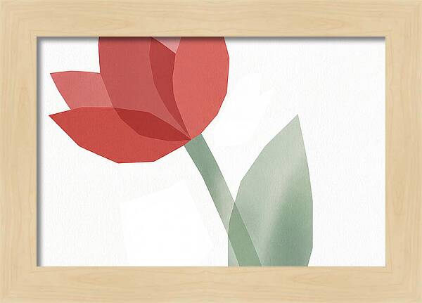 Red Tulip Minimalism