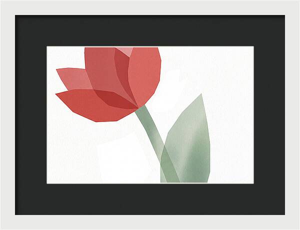 Red Tulip Minimalism