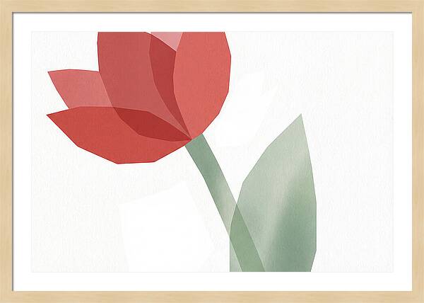 Red Tulip Minimalism