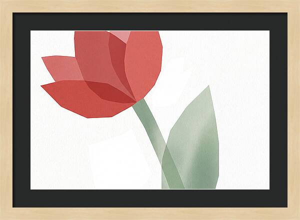 Red Tulip Minimalism