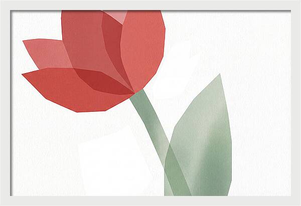 Red Tulip Minimalism
