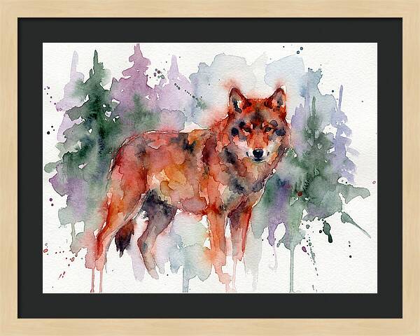 Red Wolf Among Pines