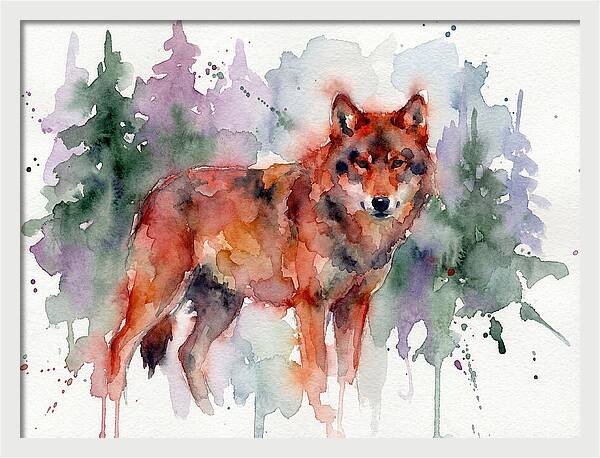 Red Wolf Among Pines