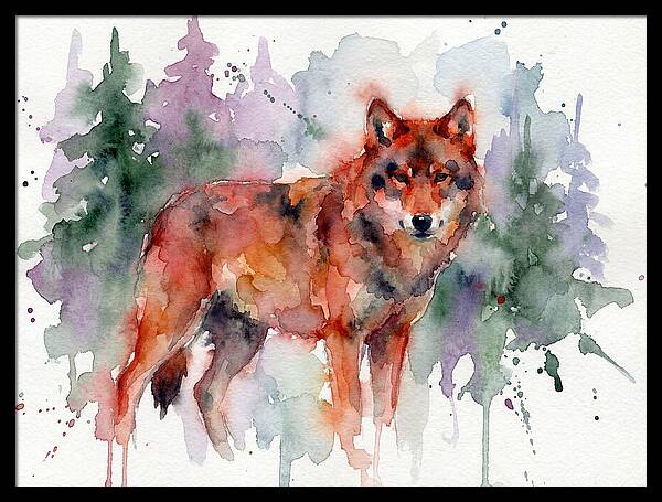 Red Wolf Among Pines