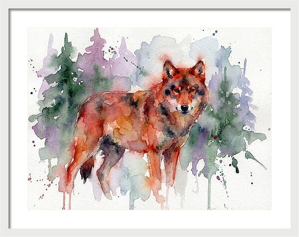 Red Wolf Among Pines