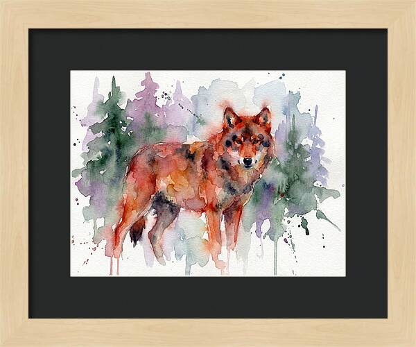 Red Wolf Among Pines