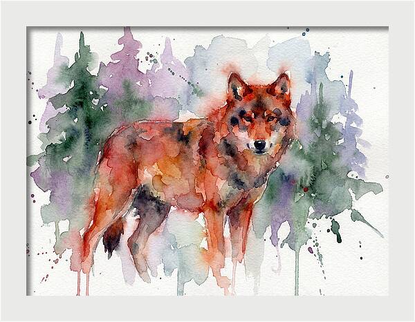 Red Wolf Among Pines
