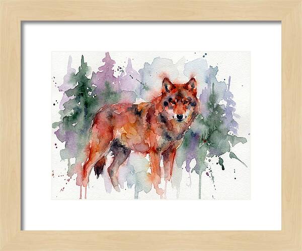 Red Wolf Among Pines