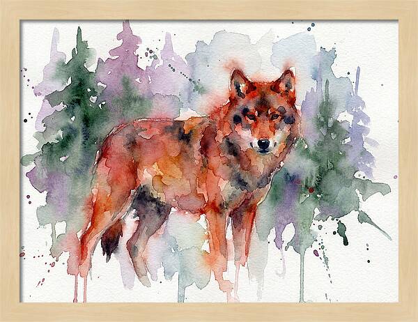 Red Wolf Among Pines